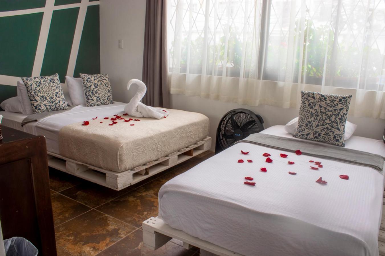 Eco Stay Hostel Сан-Хосе Экстерьер фото